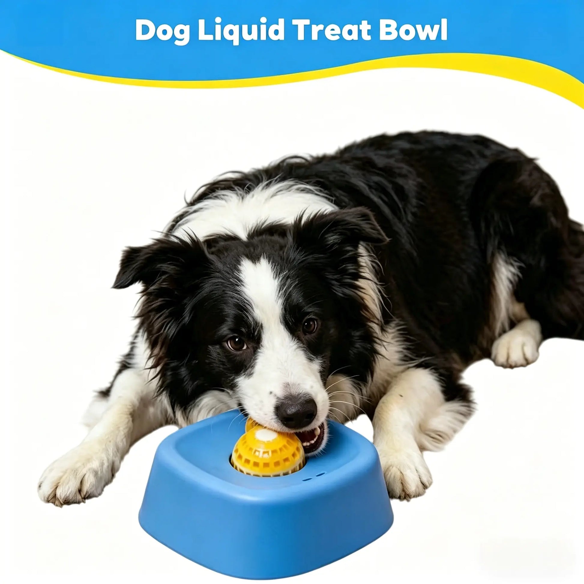 Slow Feeder Dog Bowls for Liquid Treats with Built-In Rolling Ball No Spill Bone Broth Bowl for All Dogs Safe Anti-Slip Silicone Design Back and Blue