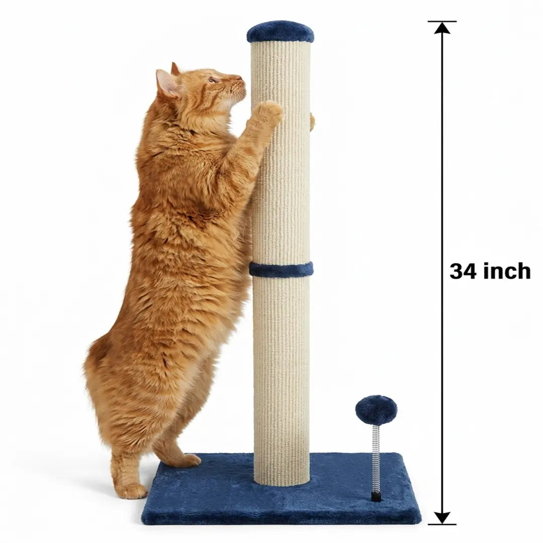 Pawrino Tall Cat Scratching Post – Sisal Scratching Post for Indoor Cats, Stable Base, Full Sisal Coverage, Replaceable Toy Wand