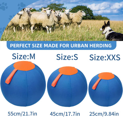 Professional Dog Ball Toy Set for Breeds Including Cattle Dog, Australian Shepherd, Golden Retriever, Shiba Inu, and Corgi - Ideal for Outdoor Play and Training