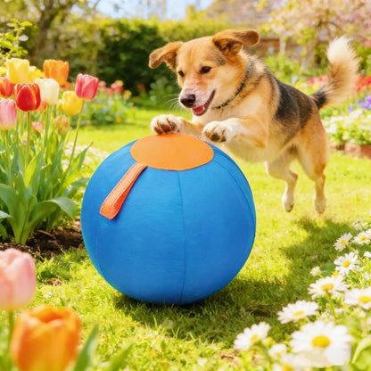 Professional Dog Ball Toy Set for Breeds Including Cattle Dog, Australian Shepherd, Golden Retriever, Shiba Inu, and Corgi - Ideal for Outdoor Play and Training