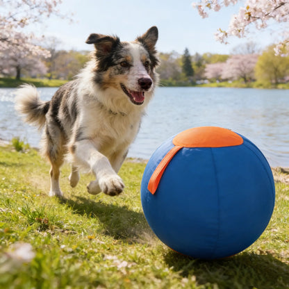 Professional Dog Ball Toy Set for Breeds Including Cattle Dog, Australian Shepherd, Golden Retriever, Shiba Inu, and Corgi - Ideal for Outdoor Play and Training