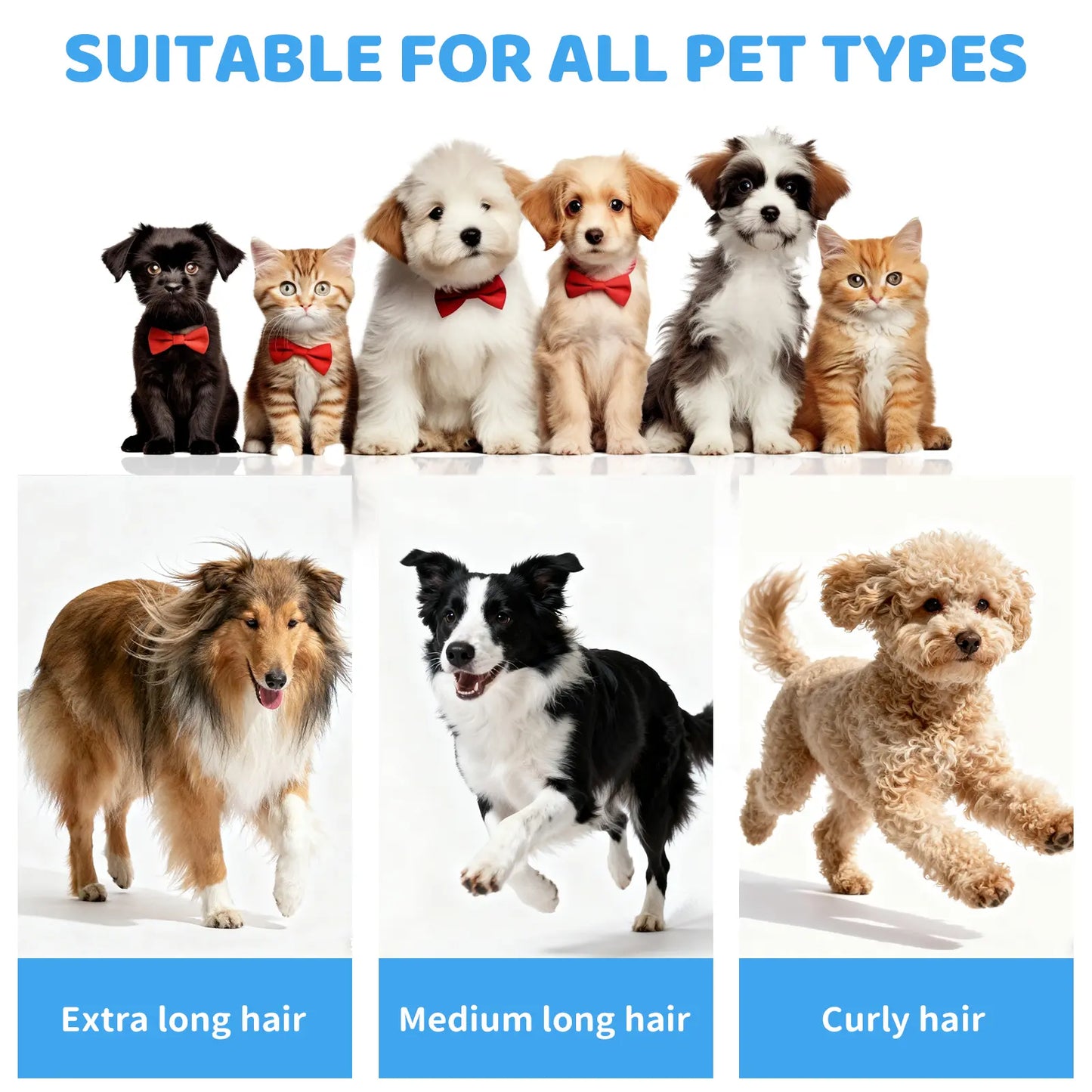 Pawimood Professional 5-in-1 Pet Grooming Vacuum with 13000PA Suction Power, 2L Dust Cup, and Hair Removal Tool for Shedding and Home Cleaning