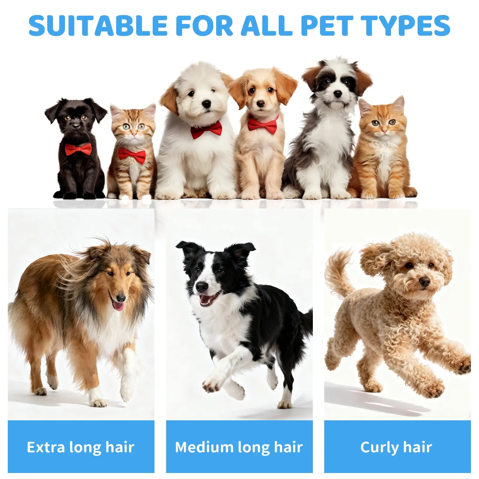 Pawimood Professional 5-in-1 Pet Grooming Vacuum with 13000PA Suction Power, 2L Dust Cup, and Hair Removal Tool for Shedding and Home Cleaning