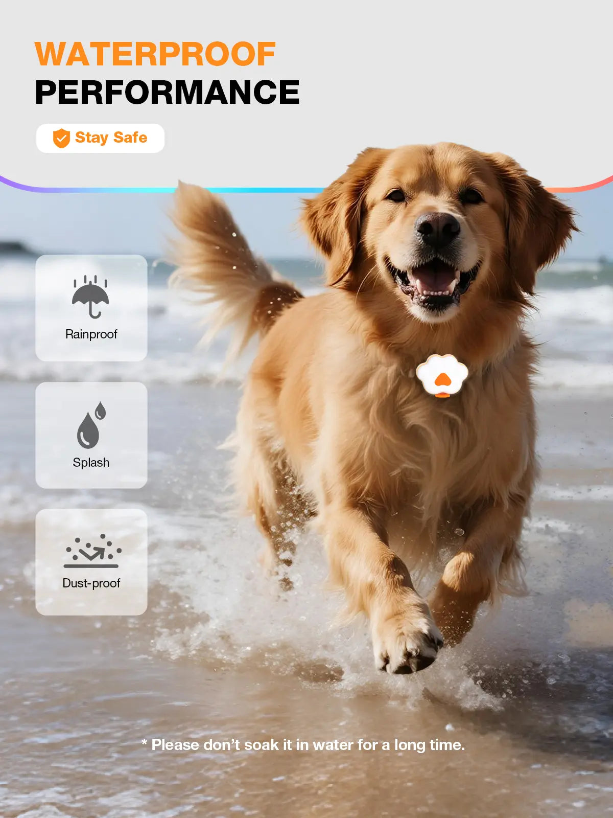 Lekereise LED Dog Collar Light – USB-C Rechargeable, 6 Modes, Waterproof Silicone Safety Collar for Night Walking, Running & Camping Tiktokshopblackfriday