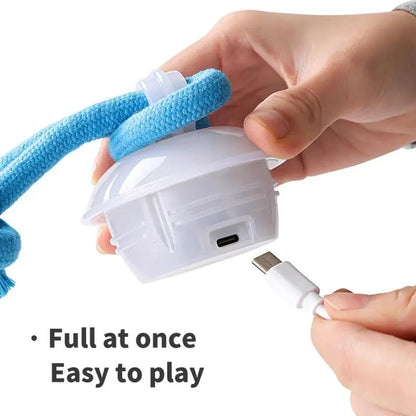 Interactive Dog Toys with Motion Activated, Squeaky Dog Toy Active Rolling Ball, Ball for Daily Training,Used for Small Dogs and Cats , Pet Accessories, Cute Pet Toys(2.95*2.95*4.33Inch)