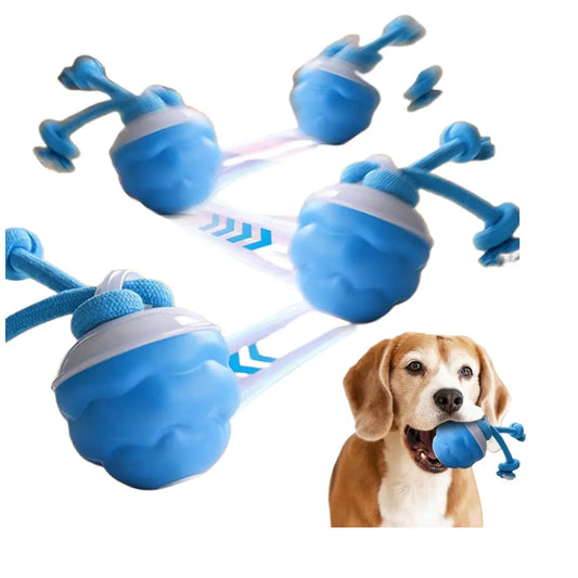 Interactive Dog Toys with Motion Activated, Squeaky Dog Toy Active Rolling Ball, Ball for Daily Training,Used for Small Dogs and Cats , Pet Accessories, Cute Pet Toys(2.95*2.95*4.33Inch)