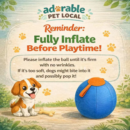 Professional Dog Ball Toy Set for Breeds Including Cattle Dog, Australian Shepherd, Golden Retriever, Shiba Inu, and Corgi - Ideal for Outdoor Play and Training