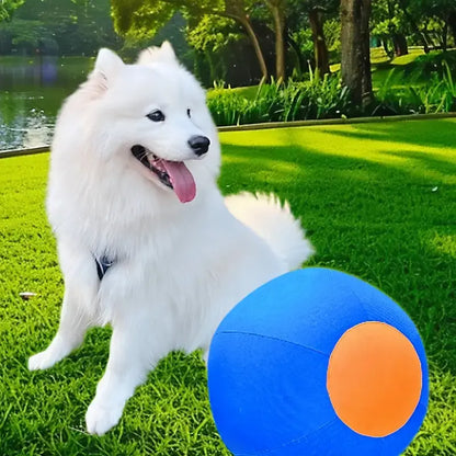 Professional Dog Ball Toy Set for Breeds Including Cattle Dog, Australian Shepherd, Golden Retriever, Shiba Inu, and Corgi - Ideal for Outdoor Play and Training