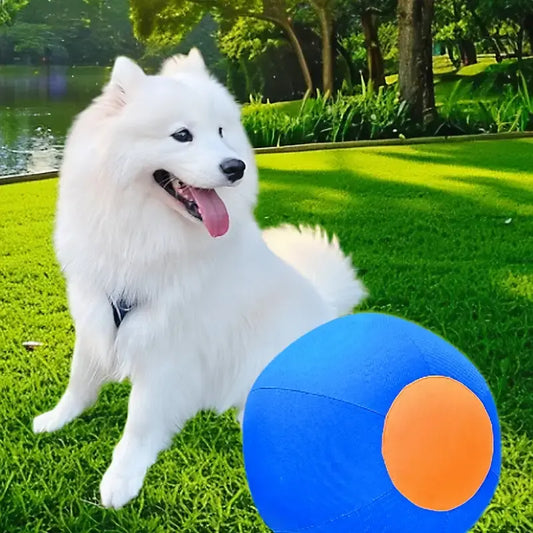 Professional Dog Ball Toy Set for Breeds Including Cattle Dog, Australian Shepherd, Golden Retriever, Shiba Inu, and Corgi - Ideal for Outdoor Play and Training