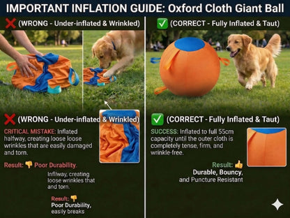 Professional Dog Ball Toy Set for Breeds Including Cattle Dog, Australian Shepherd, Golden Retriever, Shiba Inu, and Corgi - Ideal for Outdoor Play and Training