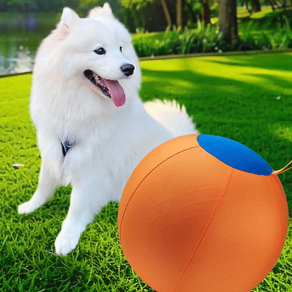 Professional Dog Ball Toy Set for Breeds Including Cattle Dog, Australian Shepherd, Golden Retriever, Shiba Inu, and Corgi - Ideal for Outdoor Play and Training