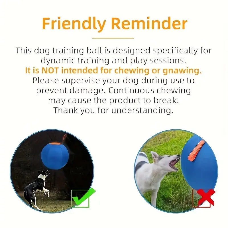 Professional Dog Ball Toy Set for Breeds Including Cattle Dog, Australian Shepherd, Golden Retriever, Shiba Inu, and Corgi - Ideal for Outdoor Play and Training