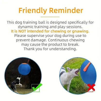 Professional Dog Ball Toy Set for Breeds Including Cattle Dog, Australian Shepherd, Golden Retriever, Shiba Inu, and Corgi - Ideal for Outdoor Play and Training