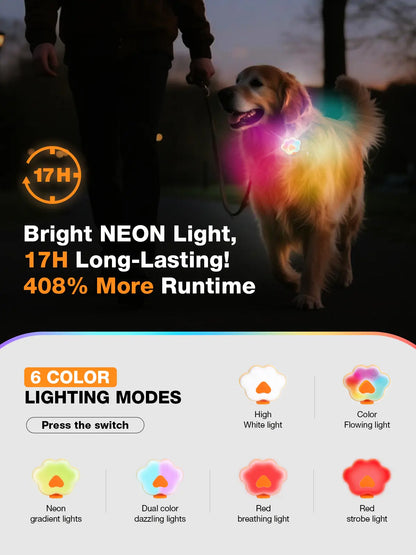 Lekereise LED Dog Collar Light – USB-C Rechargeable, 6 Modes, Waterproof Silicone Safety Collar for Night Walking, Running & Camping Tiktokshopblackfriday