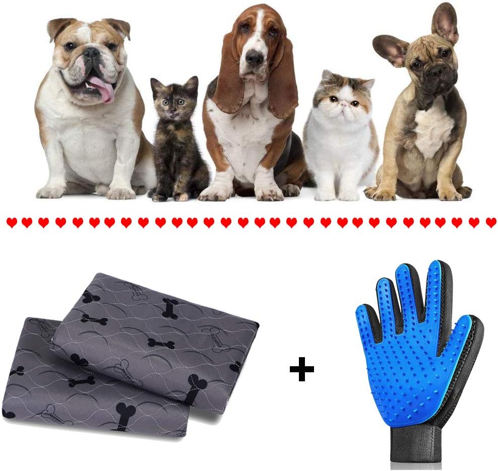 Washable dog pee pads with free grooming gloves. Tremendous urine-absorption. Reusable, great for whelping and potty training